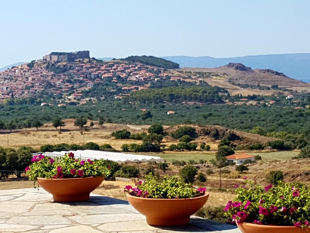 Villa Molivos Views ميثيمْنا المظهر الخارجي الصورة