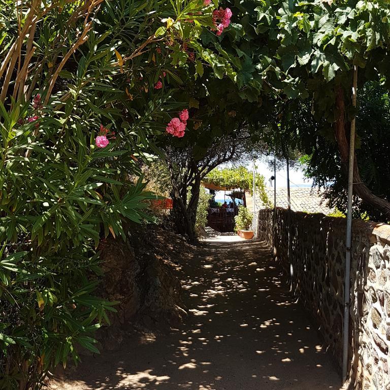 Villa Molivos Views ميثيمْنا المظهر الخارجي الصورة